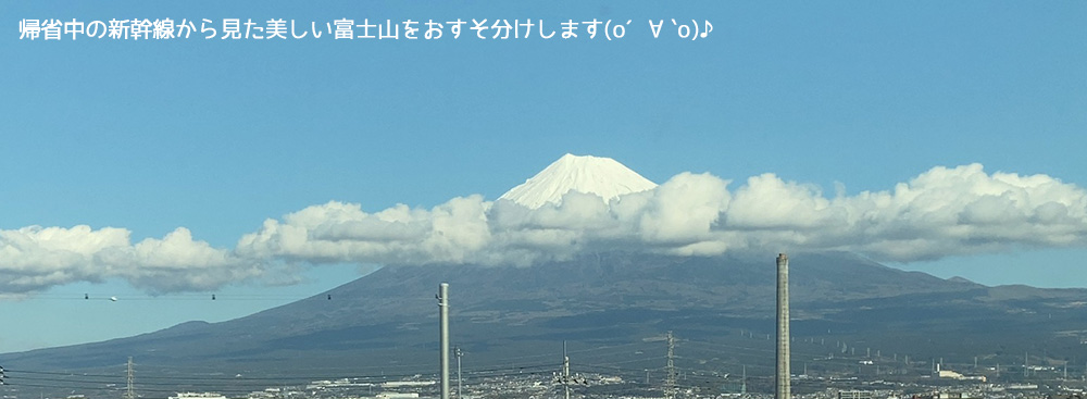 Mt.Fuji